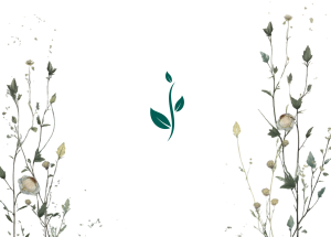 op logo